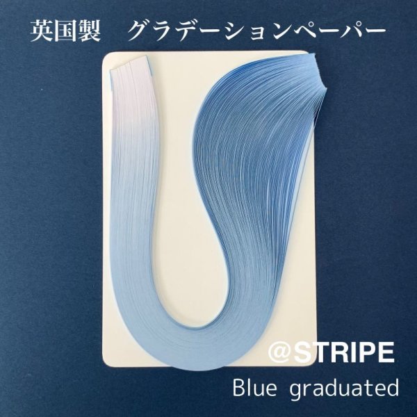 画像9: 英国製　2mm幅　グラデーション (9)