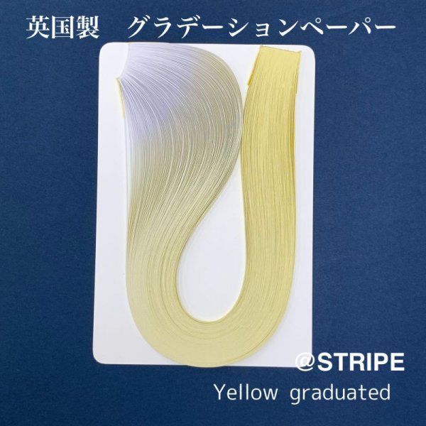 画像7: 英国製　2mm幅　グラデーション (7)