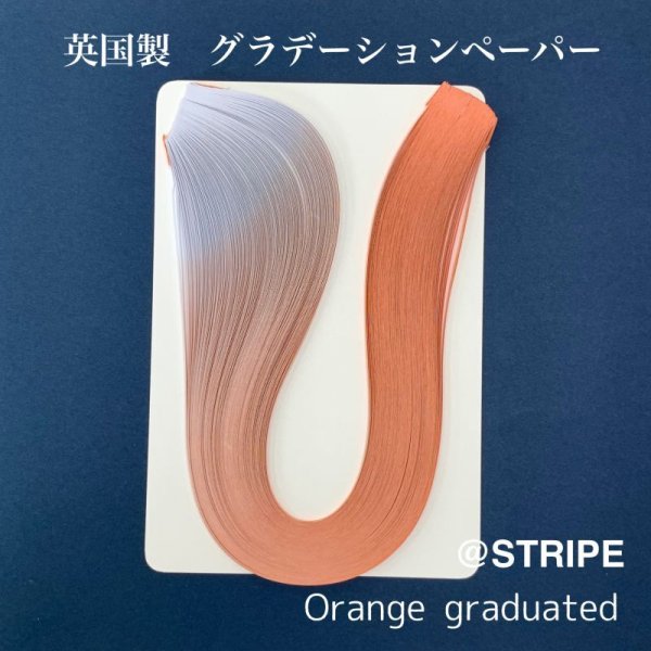 画像5: 英国製　2mm幅　グラデーション (5)