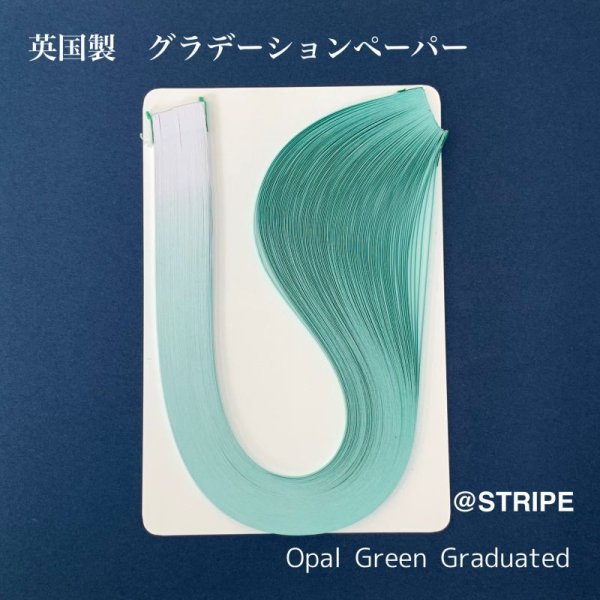 画像6: 英国製　2mm幅　グラデーション (6)