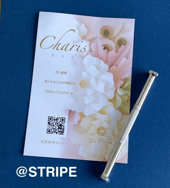 画像2: Charisカリス 精密ツール (2)