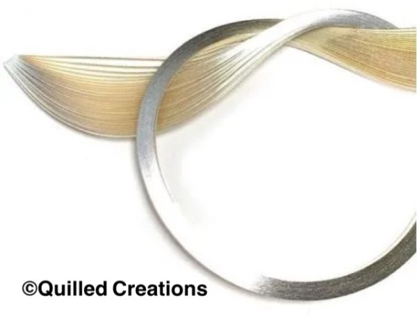 画像6: QC社　シルバーエッジ　3mm幅 (6)