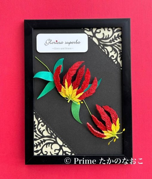 画像2: Primeグロリオサキット (2)