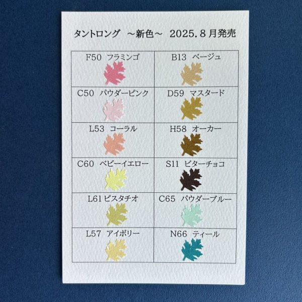 画像2: 3mm幅タント単色ペーパー（5） (2)